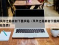 拉萨风华之路素材下载网站（风华之路素材下载网站免费）